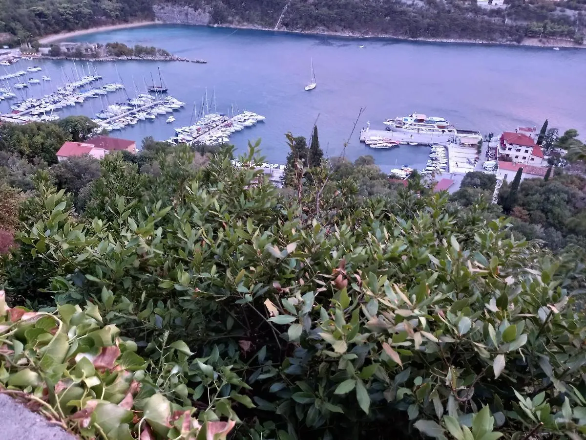 D,Apartman Apartman Omisalj