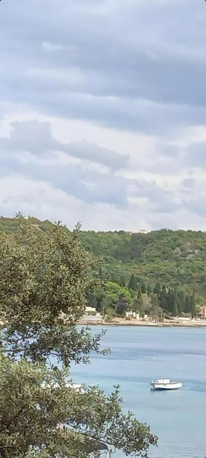 D,Apartman Apartman Omisalj
